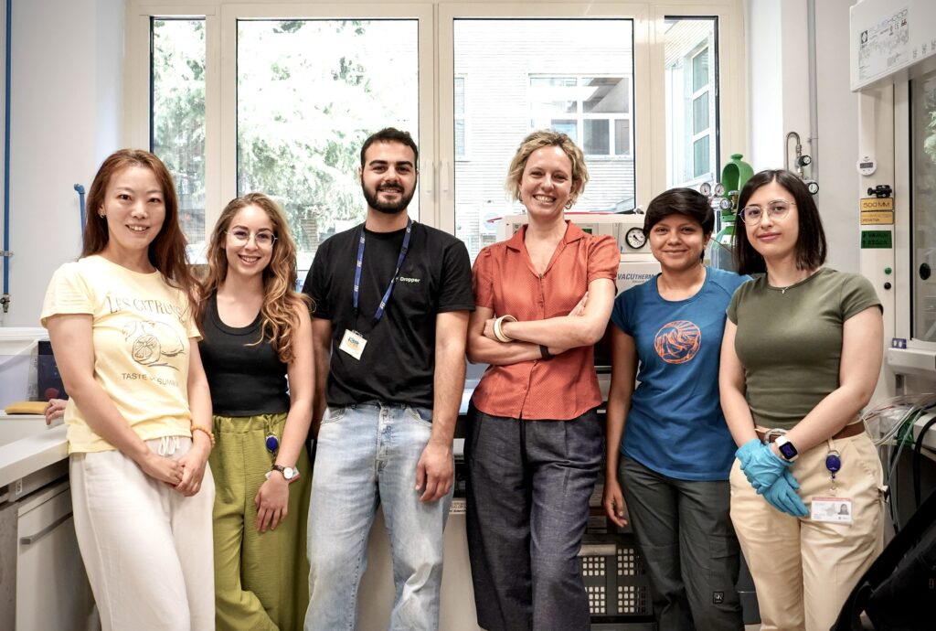 Il Team di lavoro del progetto Hysens